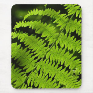 Green fern mouse pad