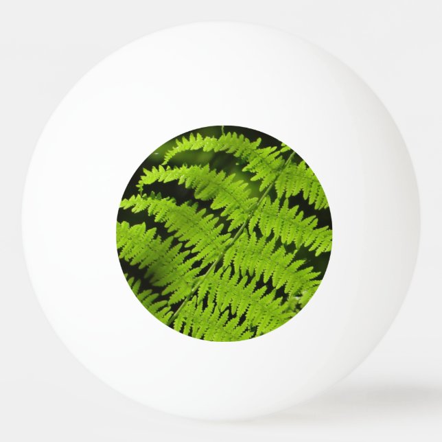 Green fern ping pong ball (Front)