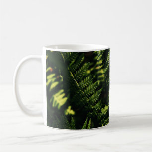 GREEN FERN PLANT IN CLOSE UP PHOTOGRAPHY COFFEE MUG