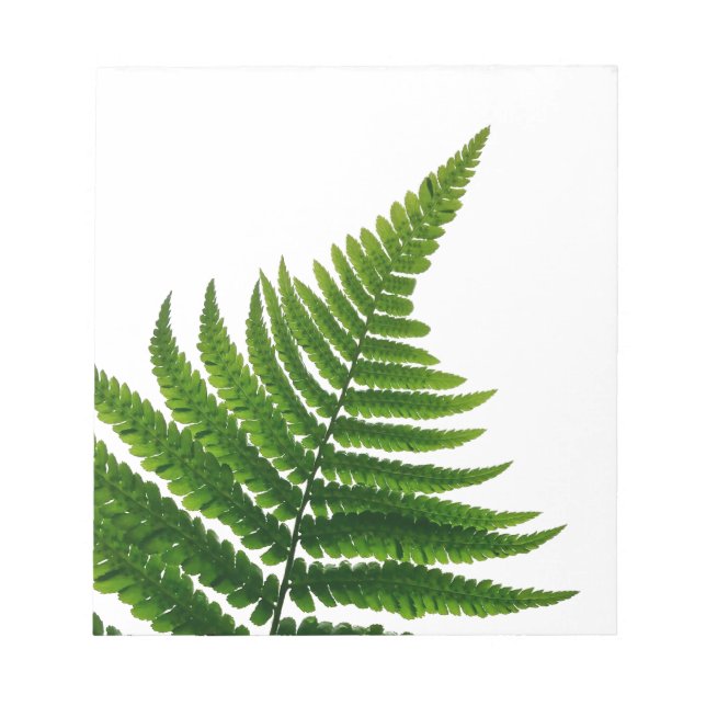 Green Fern Print Woodlands Leaf Notepad (Front)