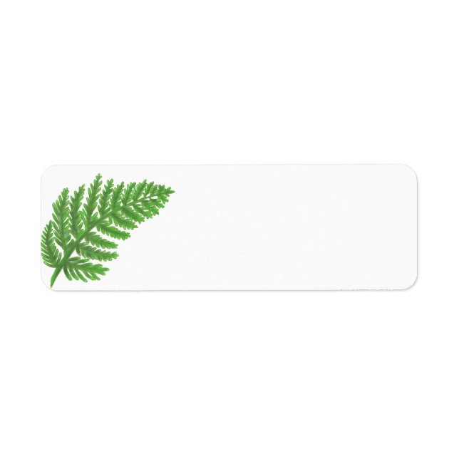 Green Fern Return Address Label (Front)