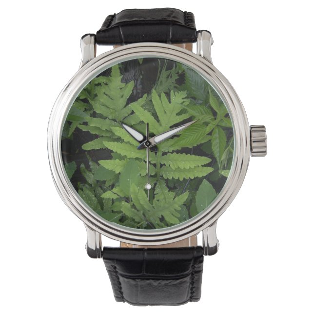 Green Fern Watch (Front)