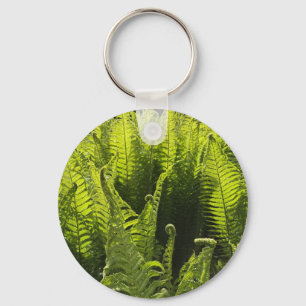 “Green ferns and curling fronds” Key Ring