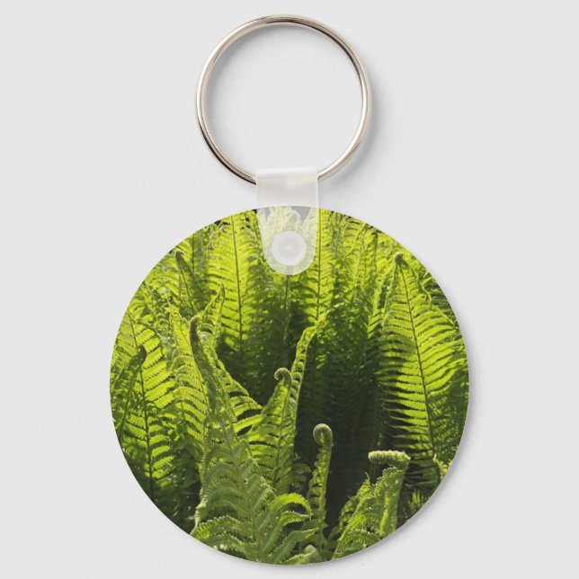 “Green ferns and curling fronds” Key Ring (Front)