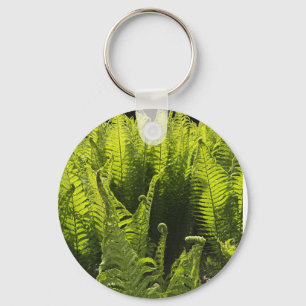 “Green ferns and curling fronds” Key Ring