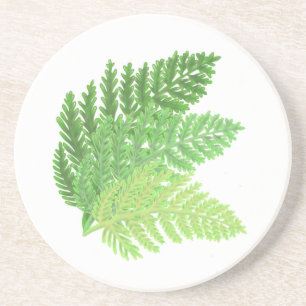 Green Ferns Coaster