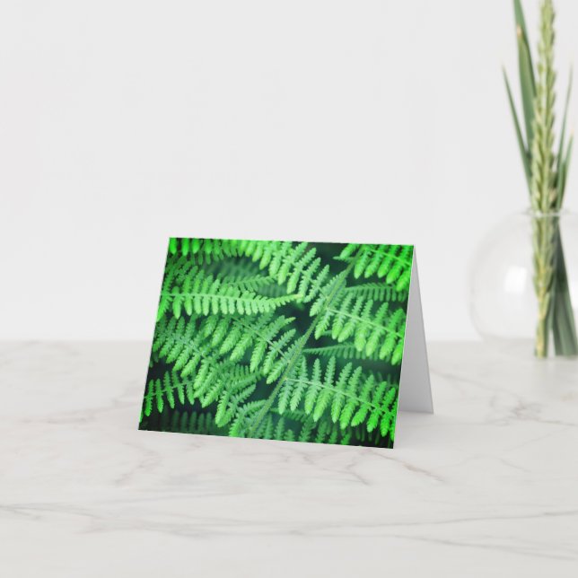 Green Ferns Nature Blank Note Card (Front)