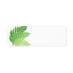 Green Ferns Return Address Label