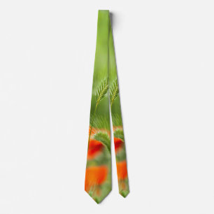 Green field grass with red poppies as background tie