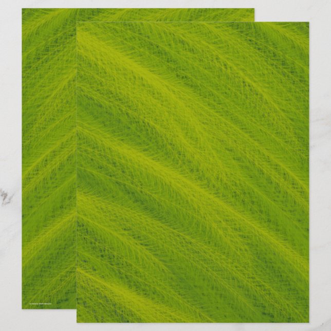 Green Field of Wheat Scrapbook Paper 2-Sided Page (Front/Back)
