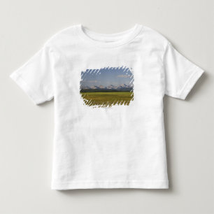 Green Fields And Rolling Hills With Mountains Toddler T-Shirt