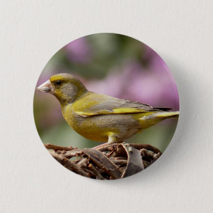 Green Finch 6 Cm Round Badge