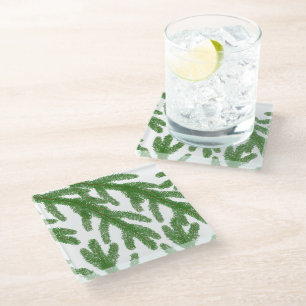 Green fir tree branches   glass coaster