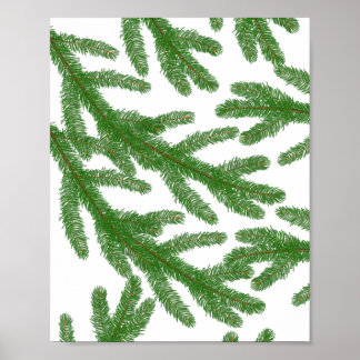 Green fir tree branches poster