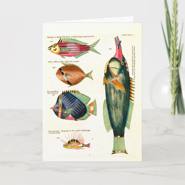 Green Fish and Friends Holiday Card (Front)