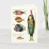 Green Fish and Friends