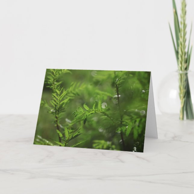 Green Floral Nature Photo Card (Front)