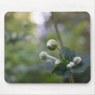 Green Flower Bud Garden Nature Photography Floral Mouse Pad