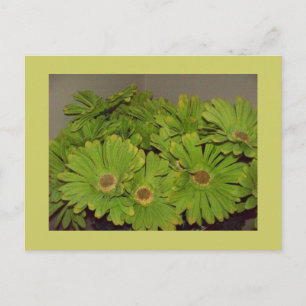 Green Flower Power Postcard