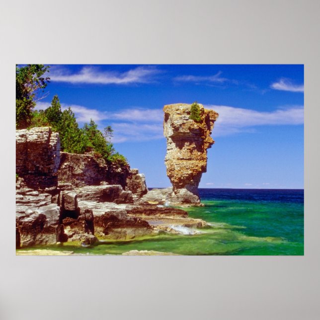 Green Flowerpot Island, Tobermory, Ontario flowers Poster (Front)