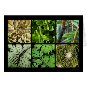Green Foliage Card