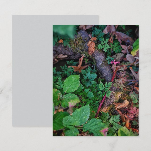 Green Foliage Invitation (Front/Back)