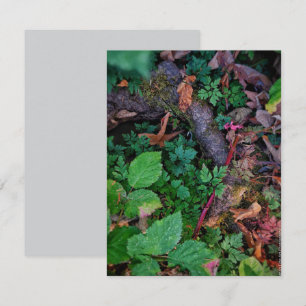 Green Foliage Invitation