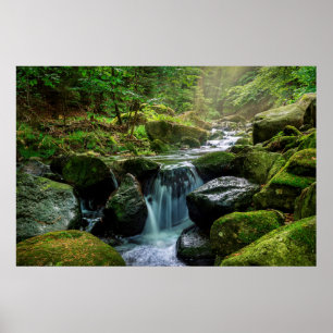 Green Forest and River Poster