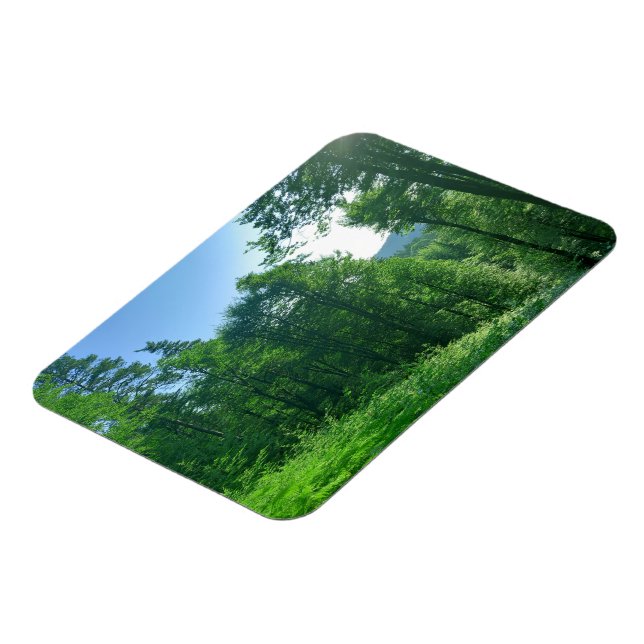 Green Forest Landscape Photography   Magnet (Left Side)