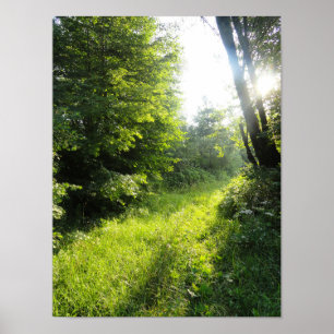 Green Forest Meadow  Poster
