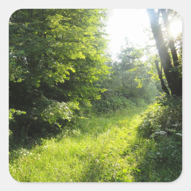 Green Forest Meadow  Square Sticker (Front)