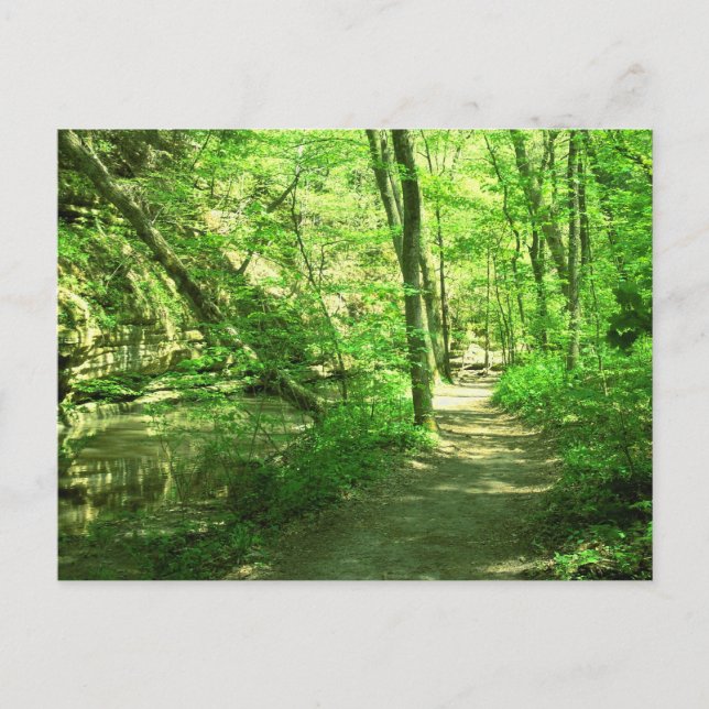 Green Forest Postcard (Front)