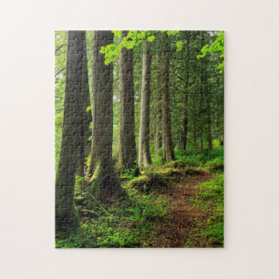 Green Forest Trail Scenic Jigsaw Puzzle