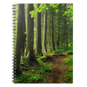 Green Forest Trail Scenic Notebook