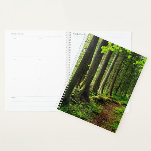 Green Forest Trail Scenic Planner (Display)