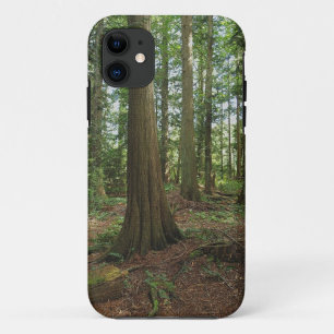 Green Forest Woodlands Tree Nature Photo iPhone 11 Case