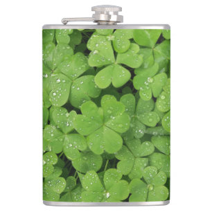 Green fresh shamrock, lucky St. Patricks clover Hip Flask