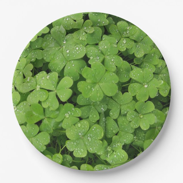 Green fresh shamrock, lucky St. Patricks clover Paper Plate (Front)