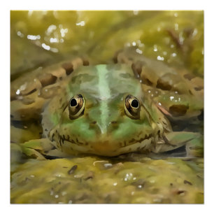 Green Frog Camouflaged Against Weathered River Bed Poster
