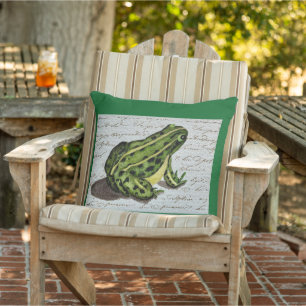 Green Frog Cushion