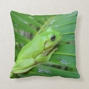 Green Frog Cushion