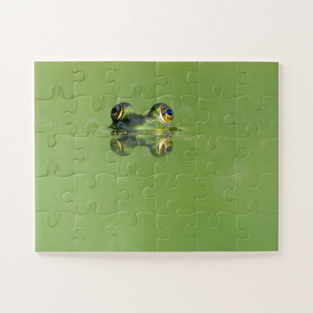 Green Frog Jigsaw Puzzle (Horizontal)