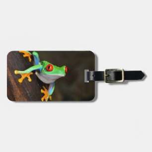 Green Frog Luggage Tag