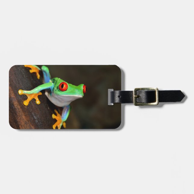 Green Frog Luggage Tag (Front Horizontal)