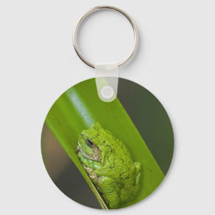 Green Frog Macro Key Ring