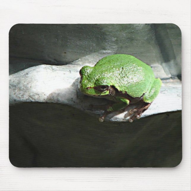 Green Frog Mouse Pad (Front)