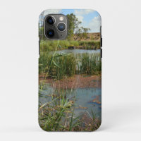 Green Frog On Reeds Over Swamp,  