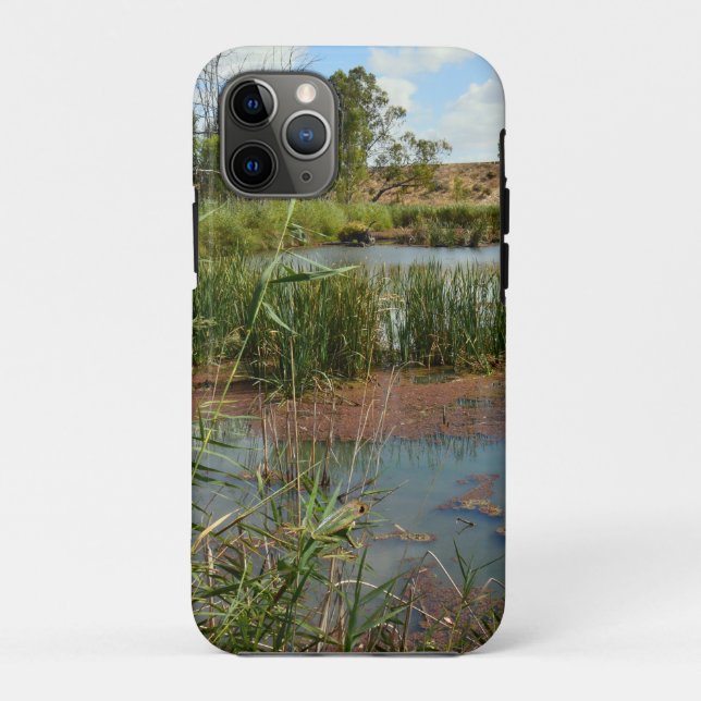 Green Frog On Reeds Over Swamp,   Case-Mate iPhone Case (Back)