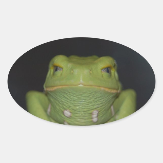 Green Frog Oval Sticker (Front)
