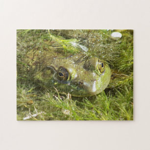 Green Frog Puzzle